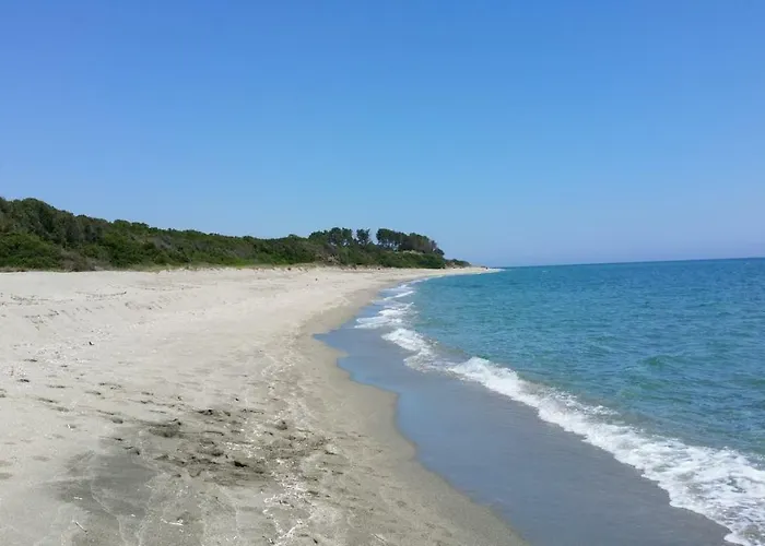 住宿加早餐酒店 A Sulana D'hotes Valle-di-Campoloro