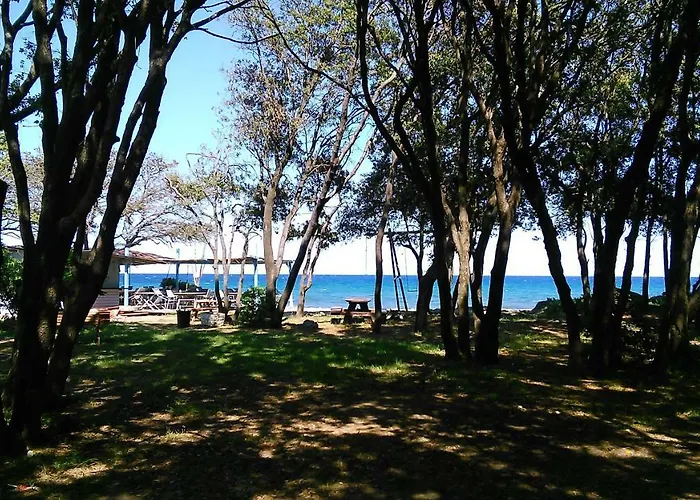 住宿加早餐酒店 A Sulana D'hotes Valle-di-Campoloro