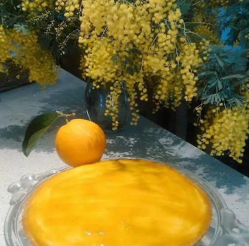 A Sulana D'hotes 4* Valle-di-Campoloro