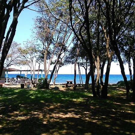 Bed & Breakfast A Sulana D'hotes Valle-di-Campoloro